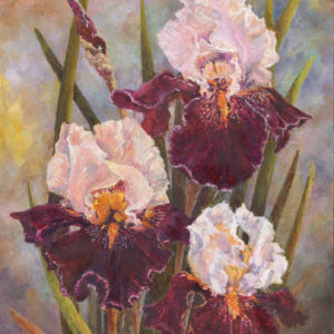 ‘Sultan’s Daughter Irises’ oil painting