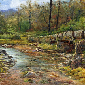 ‘River Meavey, Dartmoor’ oil painting